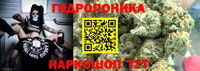 PSILOCYBIN Тула