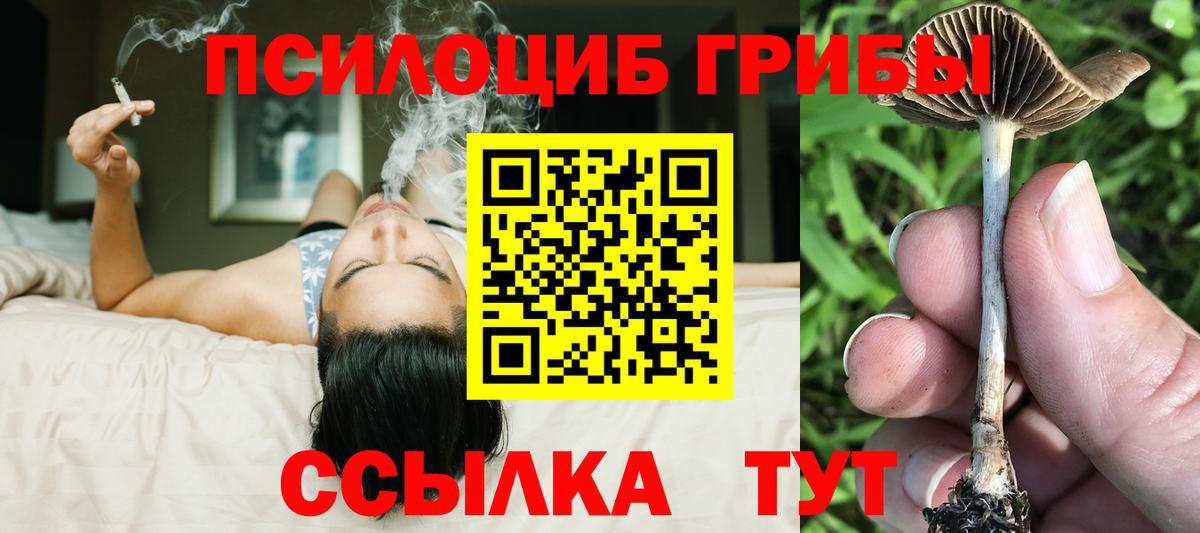 Псилоцибиновые грибы MAGIC MUSHROOMS  Вход с VPN  Ипатово  Псилоцибиновые грибы прущие грибы 